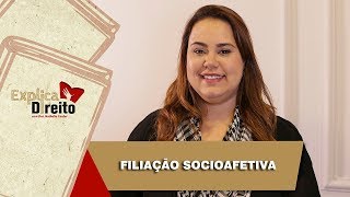 Explica Direito Filiação Socioafetiva  2019 [upl. by Danziger]