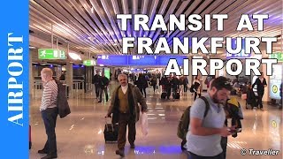 TRANSIT WALK AT FRANKFURT Airport FRA Terminal 1  Connection Flight Transfer Arriving amp Departing [upl. by Odetta647]